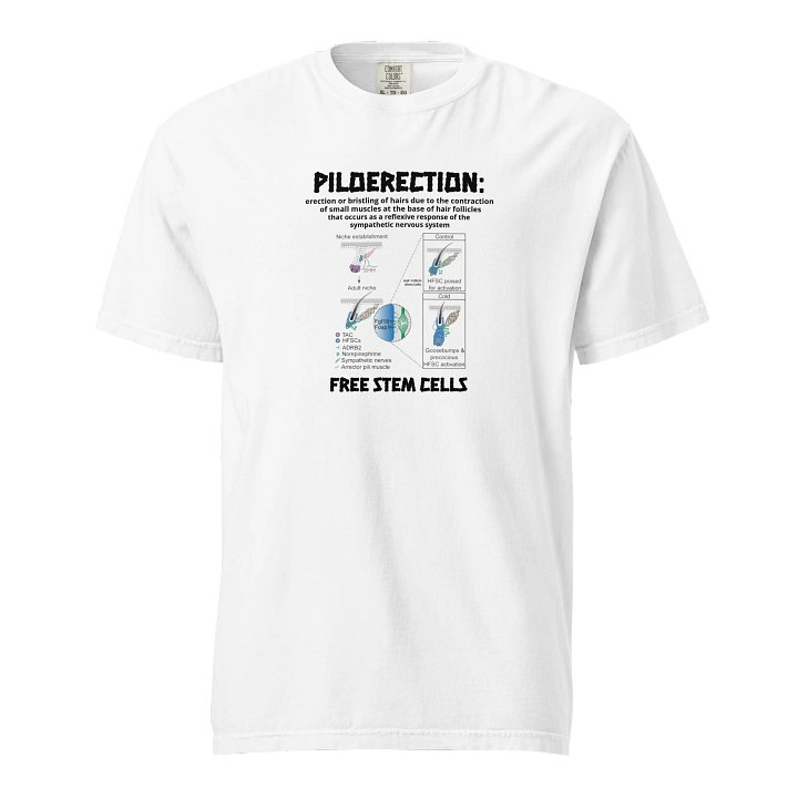 FREE STEM CELLS - T-SHIRT product image (1)