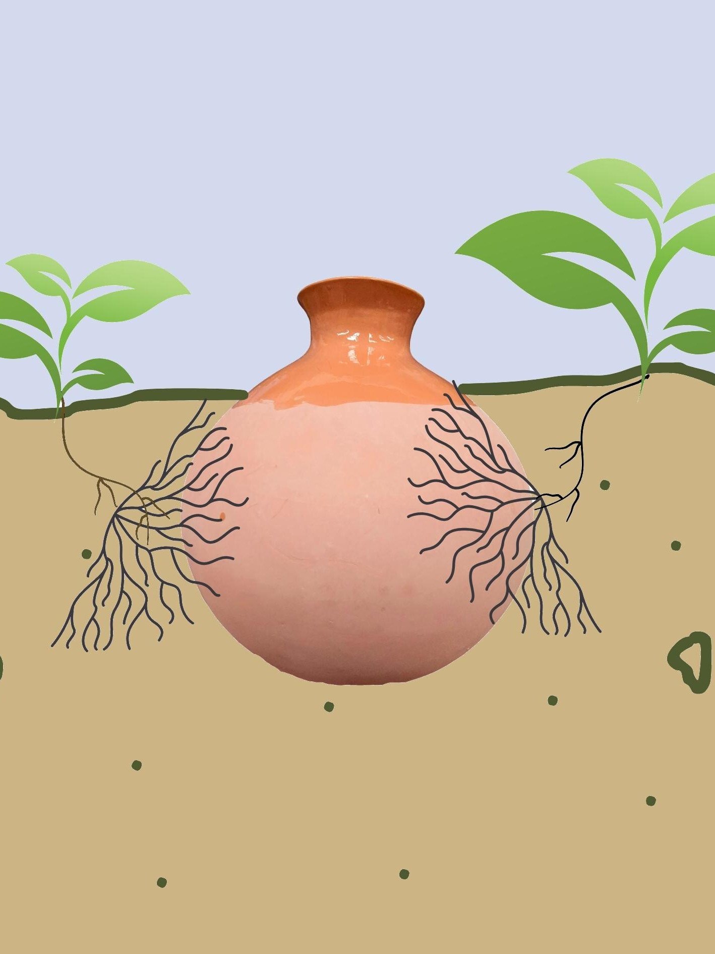 Terracotta Plant Olla Watering System: Orb Set of 3 product image (2)