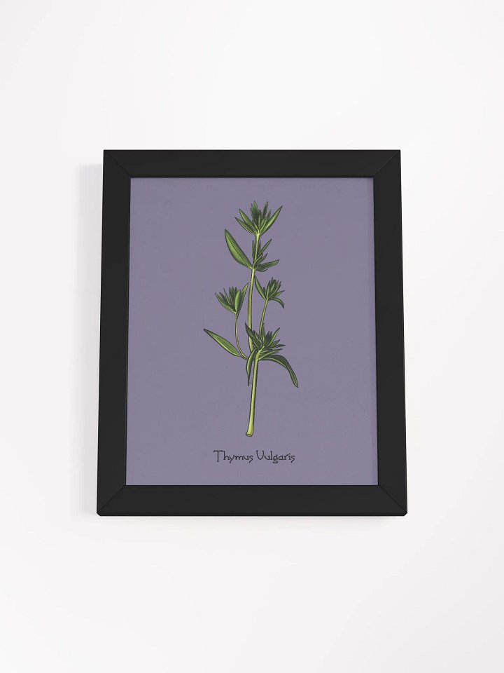Summer Thyme Botanical Study product image (1)