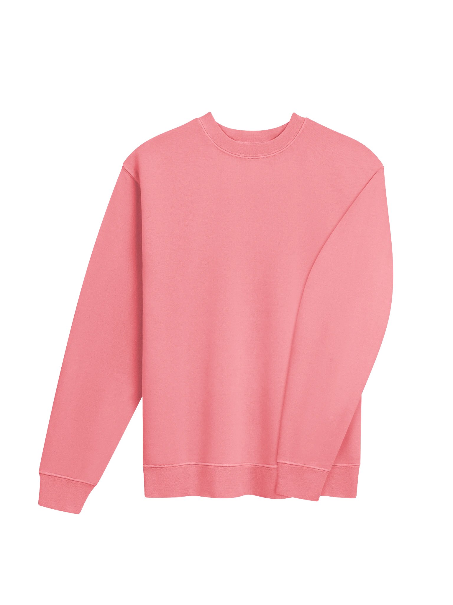 ICONIC Pride & Style Sweatshirt product image (6)