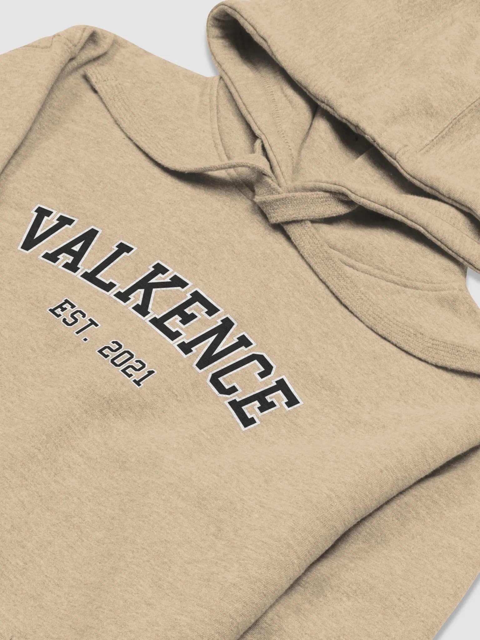 Varsity Hoodie product image (33)