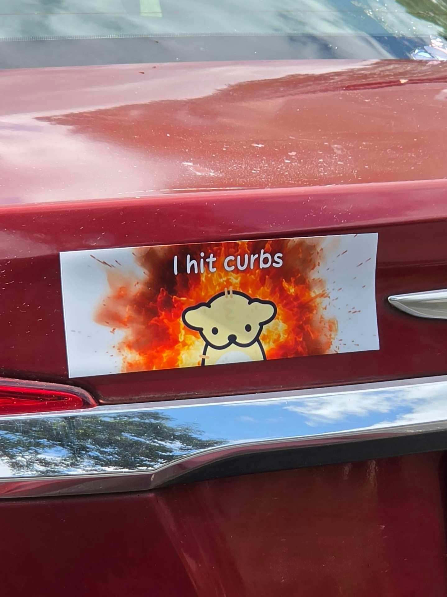 I Hit Curbs Bumper Magnet product image (1)