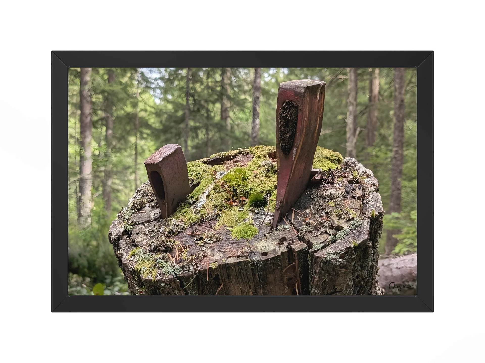 Left Behind product image (1)