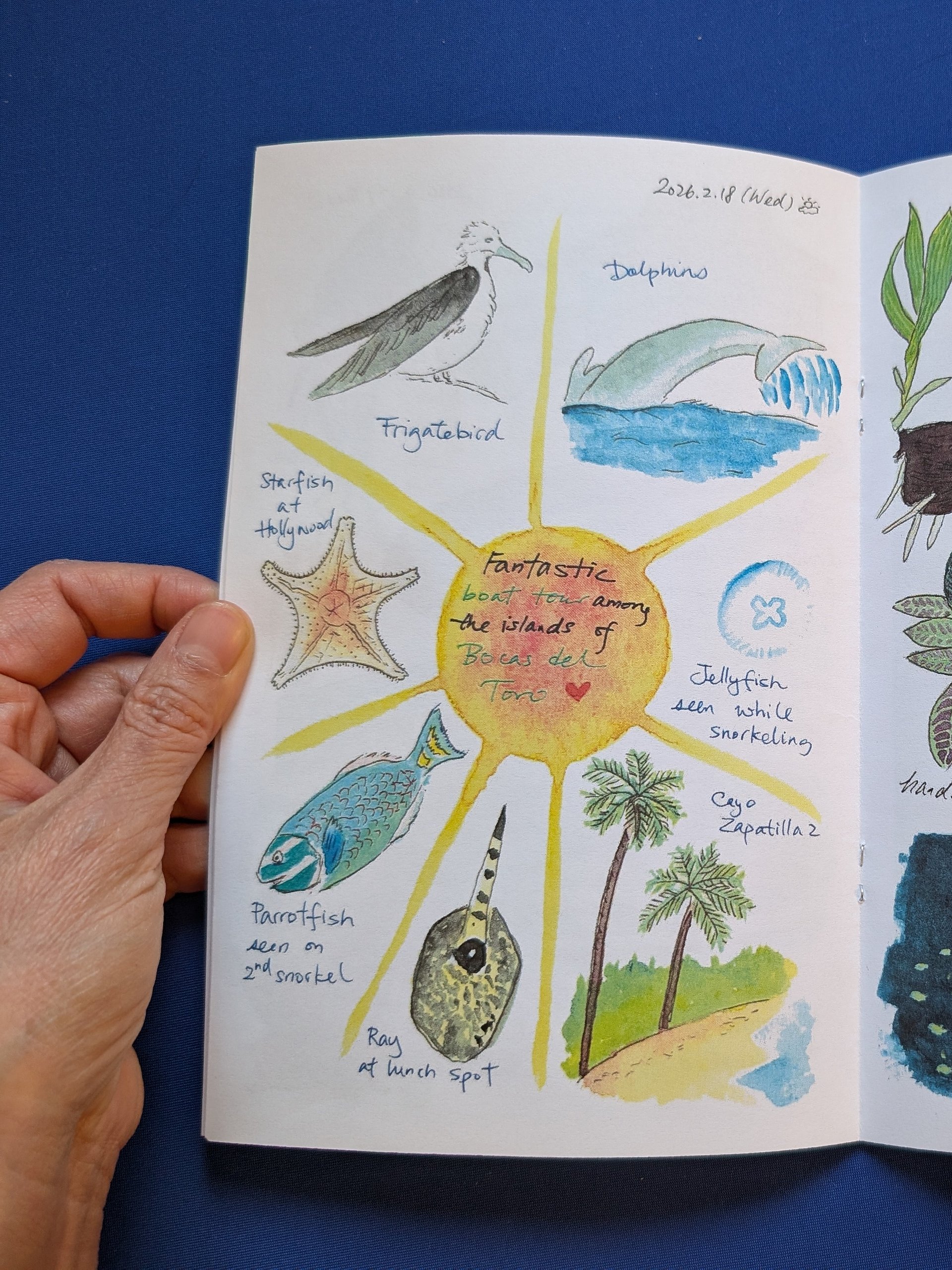 Panama 2026 product image (6)