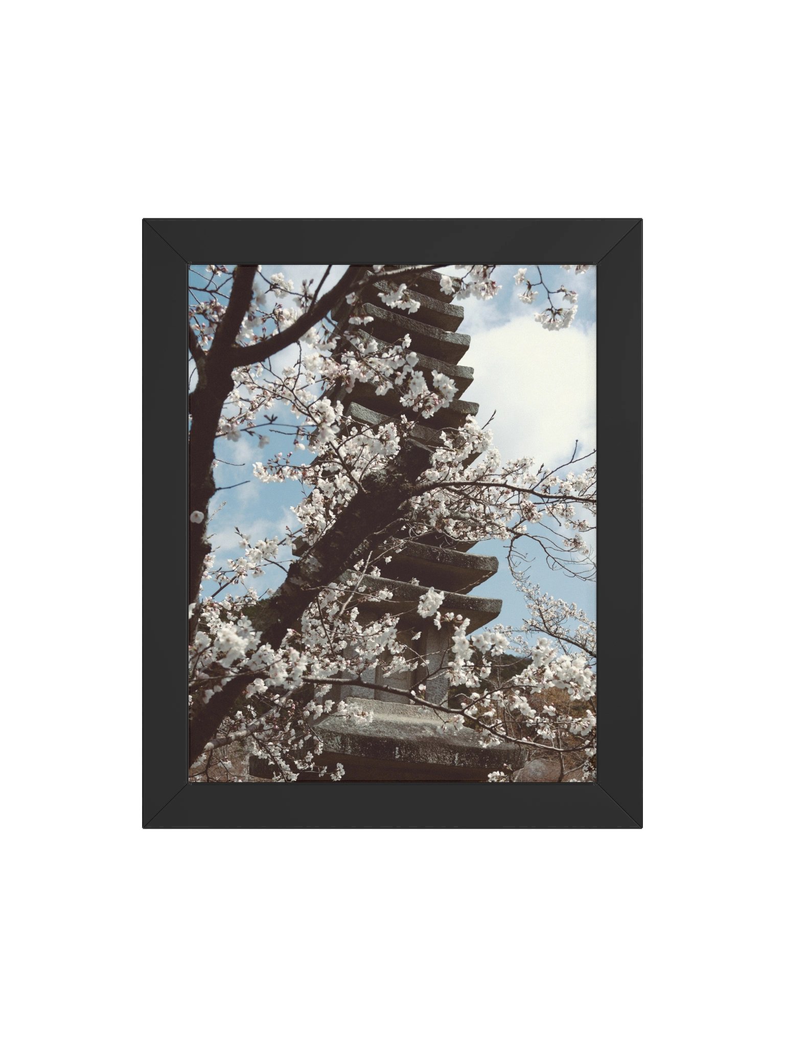 Kyoto Koyasu Pagoda & Sakura product image (82)
