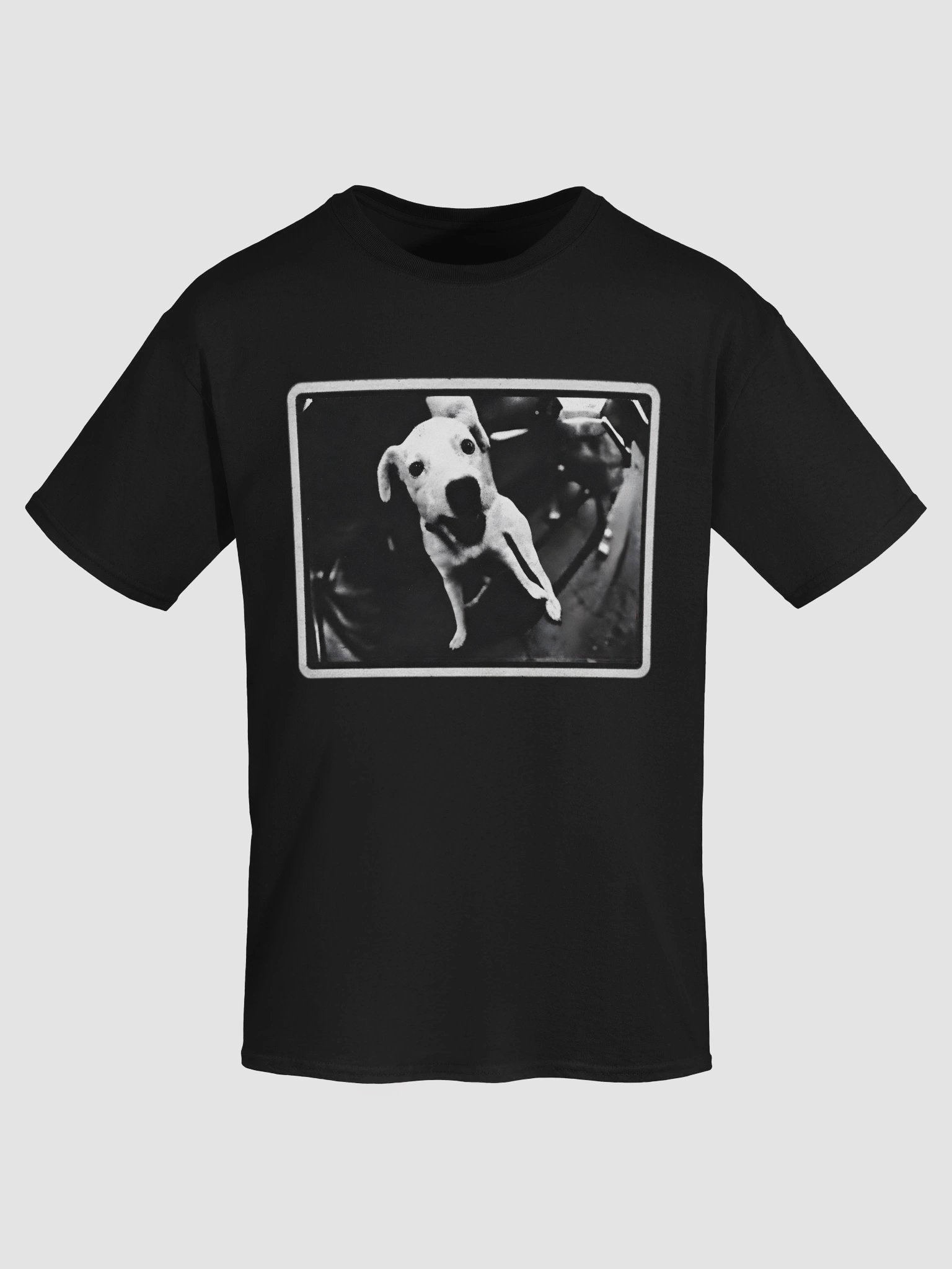 Malcolm in the Middle Dog Shirt – Pilot Episode Vintage Graphic Tee product image (5)