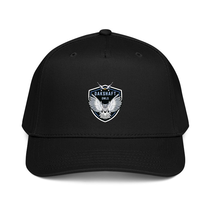 Oakshaft Owls Team Baseball Cap product image (1)