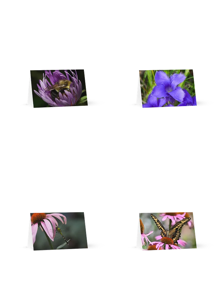Blank Greeting Card 4-Pack product image (1)