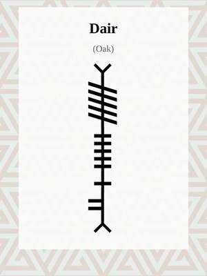 Ogham Word of the Day:dair Explore more Ogham: The Ancient Irish 'Tree Alphabet' , Medieval history and linguistics at OghamLore.com. #Ogham #Ireland #fyp #gaeilge #WordOfTheDay