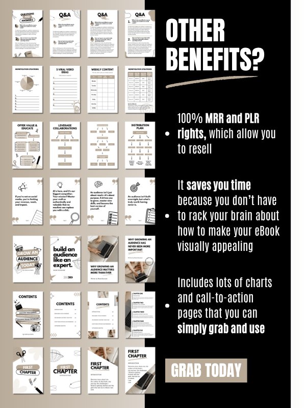 MRR/PLR Business eBook Template in Canva product image (7)