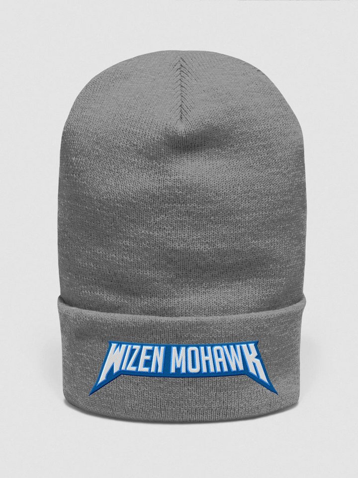 Beanie (Gray) product image (1)
