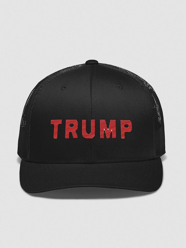 TRUMP RED HAT product image (3)