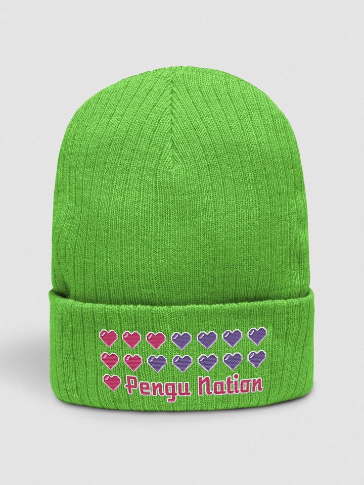 Pengu Nation Premium Beanie product image (1)