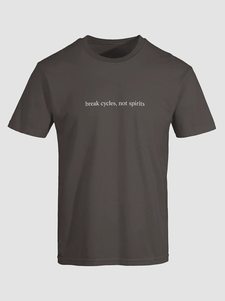 Break Cycles Not Spirits Tee product image (2)