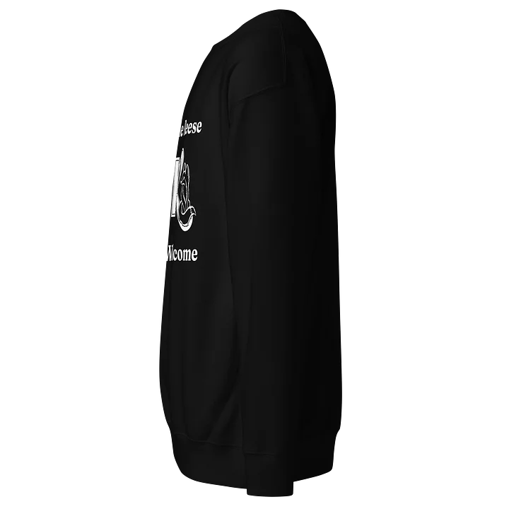 HE&R Sweatshirt product image (3)