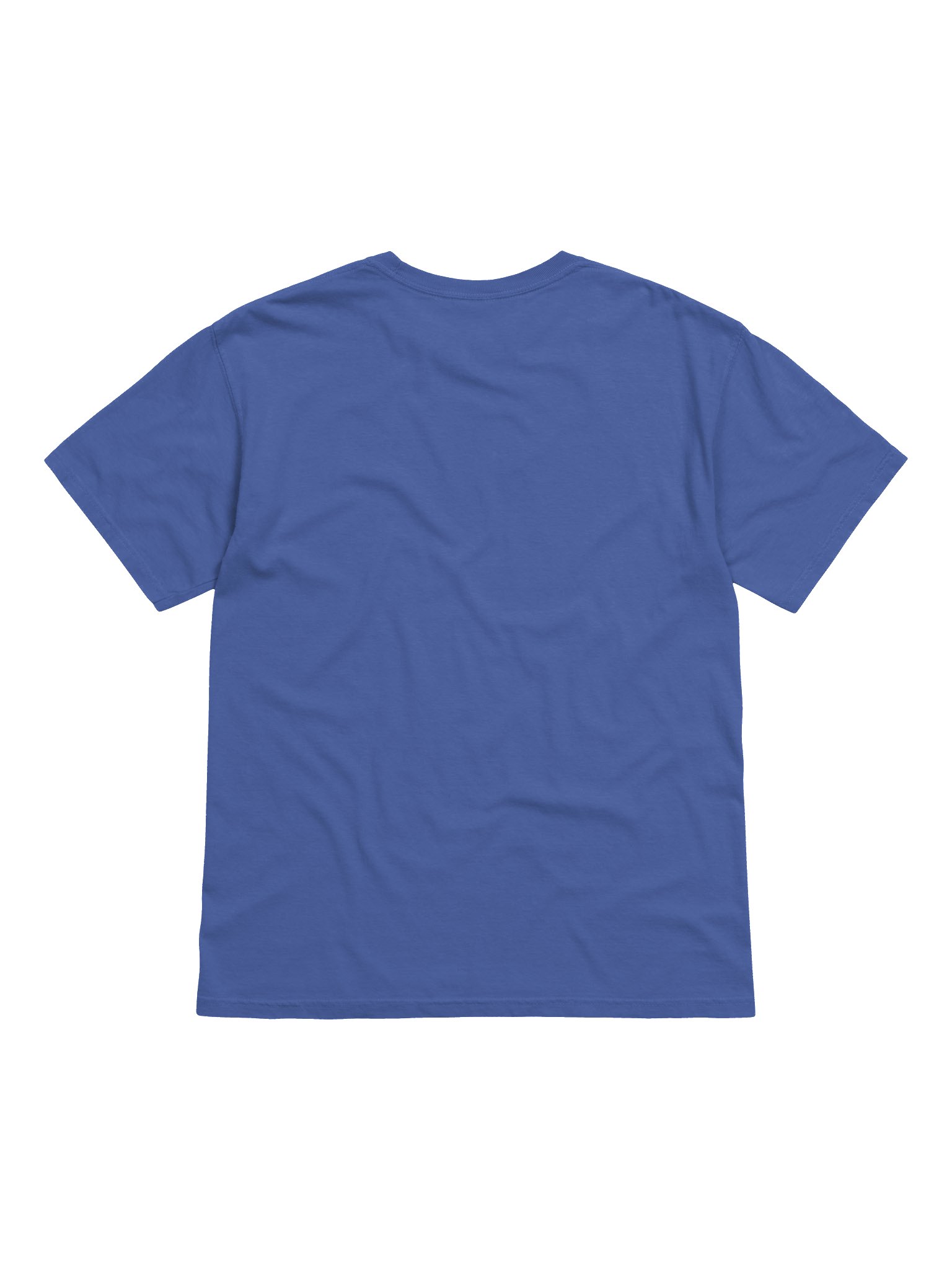 New World Order - Blue product image (2)