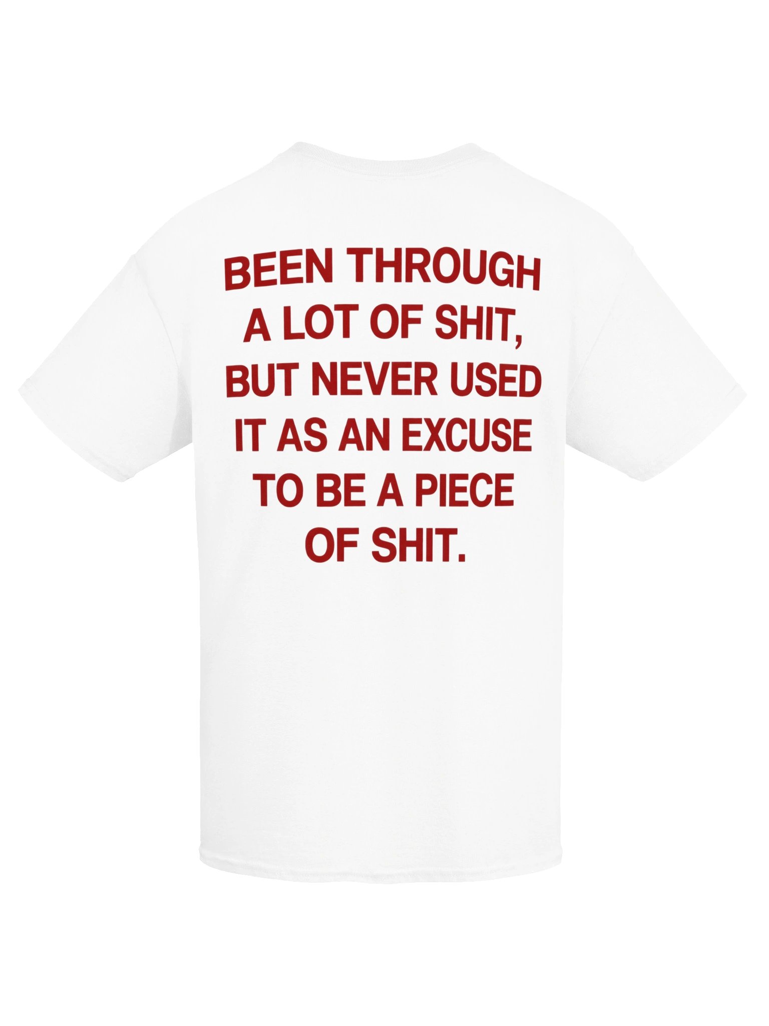 Been Through A Lot of Shit T-Shirt – Never Used It as an Excuse product image (72)