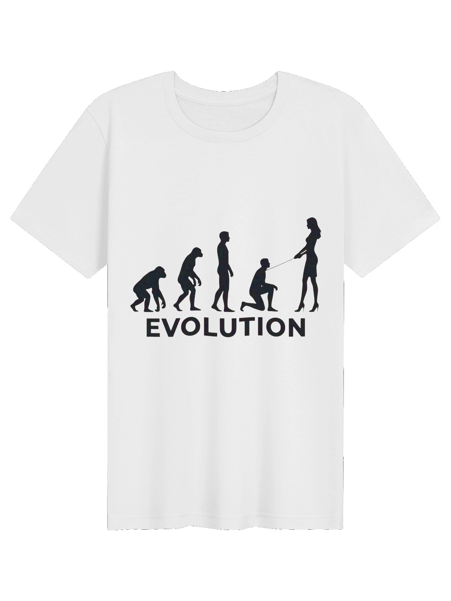 Evolution tshirt product image (41)