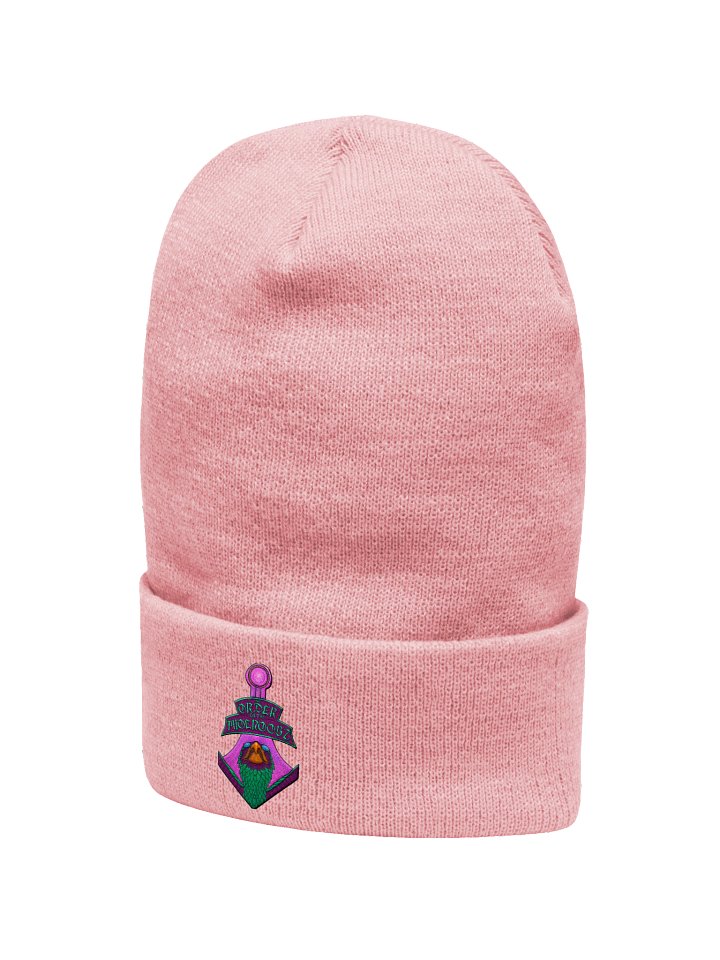 Order of the Phoenoobz Team Beanie product image (10)