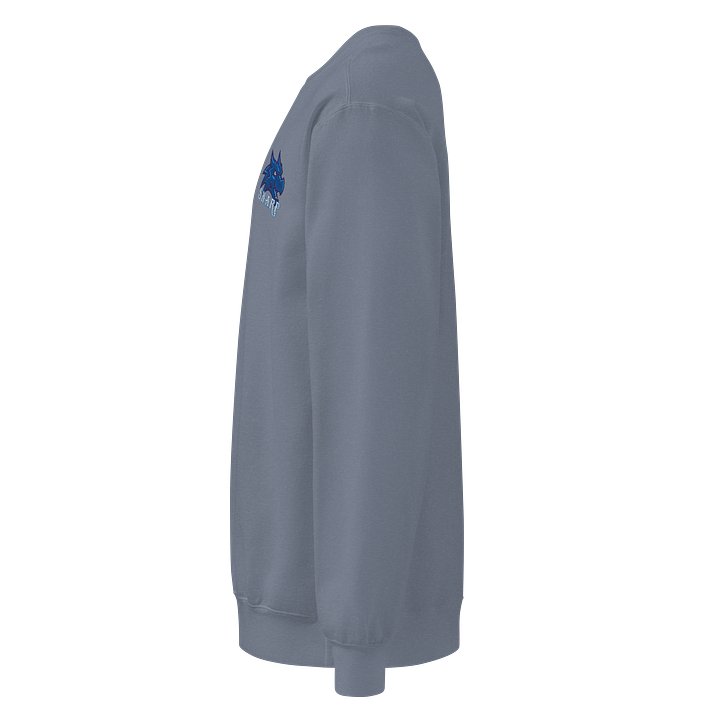 Sharp Dragon Comfort Sweatshirt product image (2)