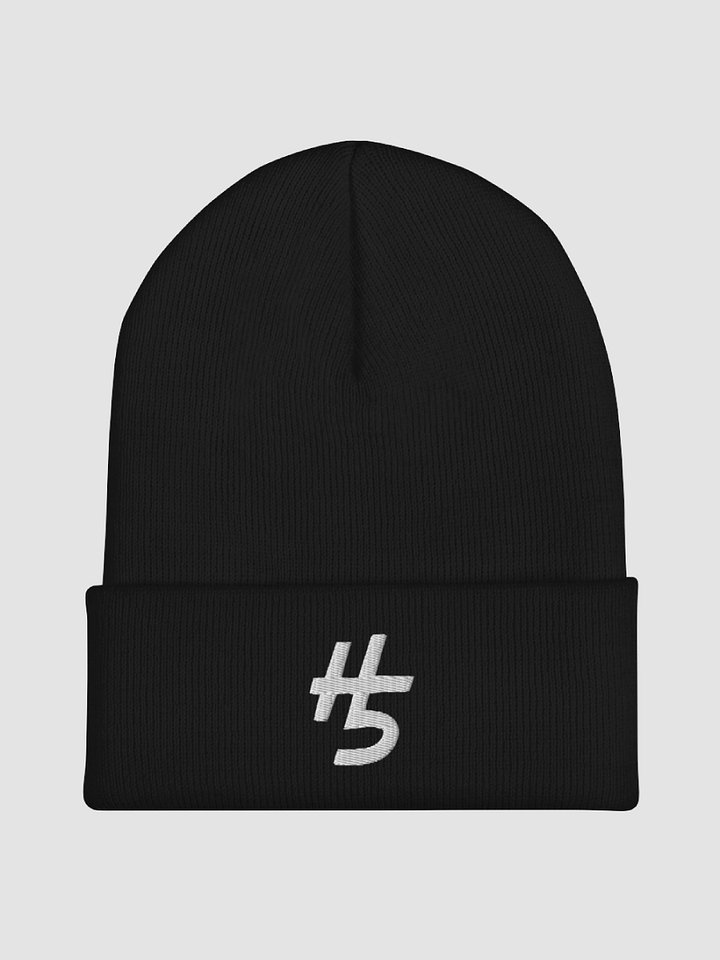 H5 Beanie product image (2)