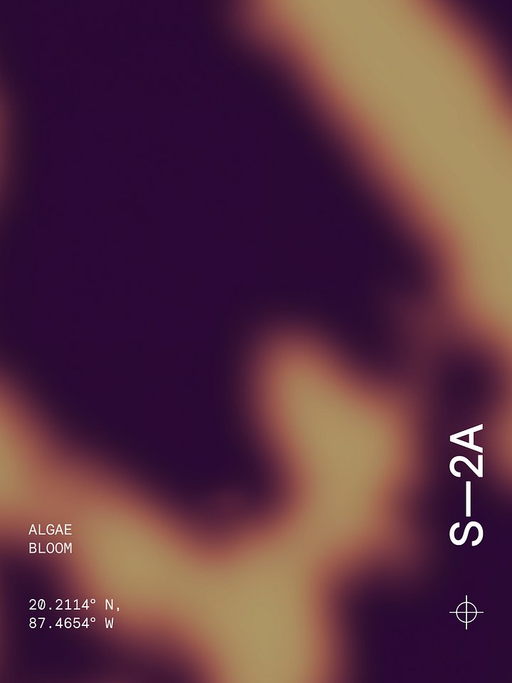 Digital Artwork | Algae Bloom product image (1)