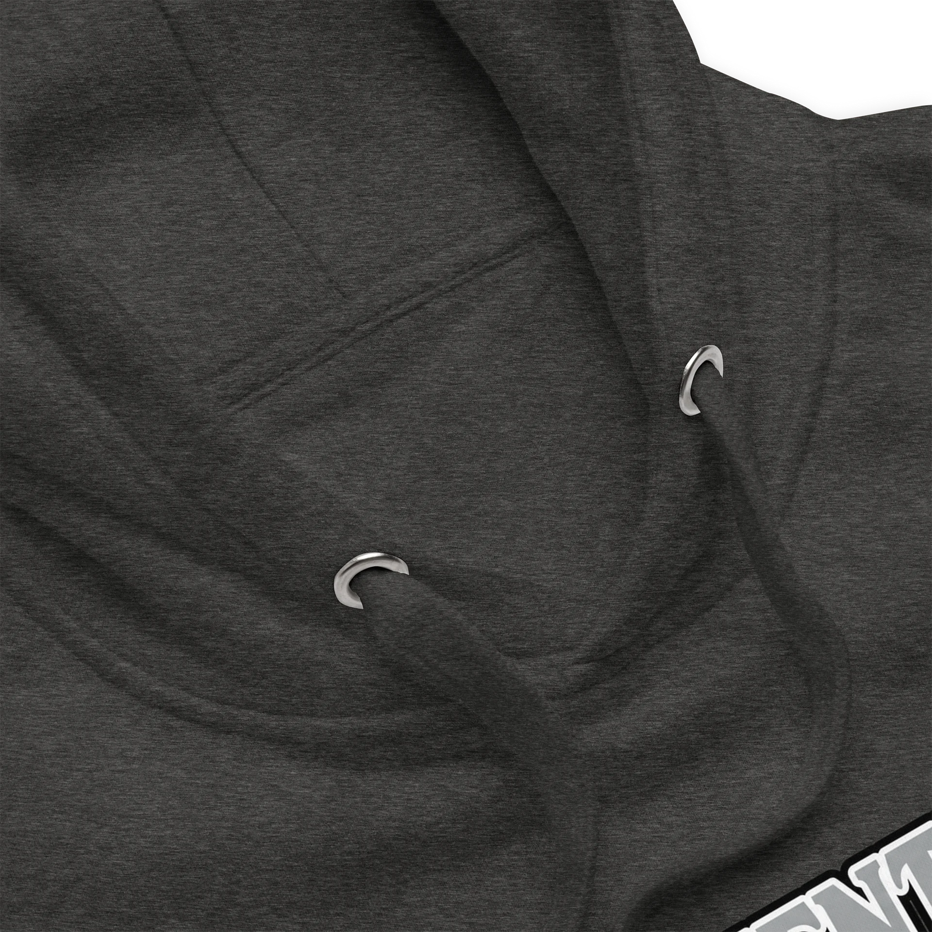 Authenticity Lions Logo sweatshirt product image (3)