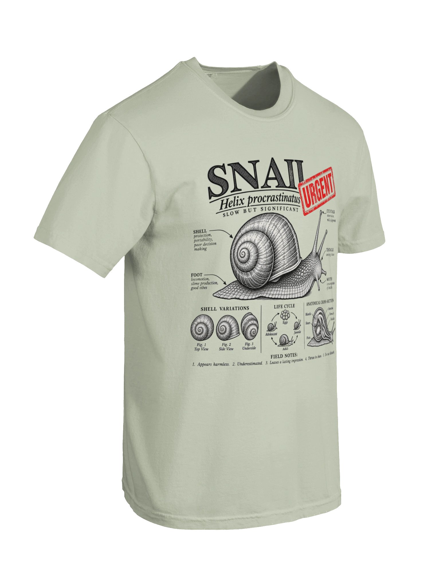 Urgent Snail product image (7)