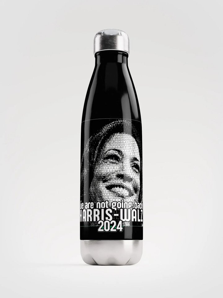 HARRIS-WALZ 2024 WE ARE NOT GOING BACK product image (1)