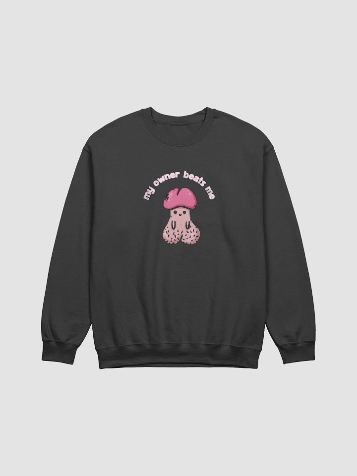 My Owner Beats Me Sweatshirt product image (1)