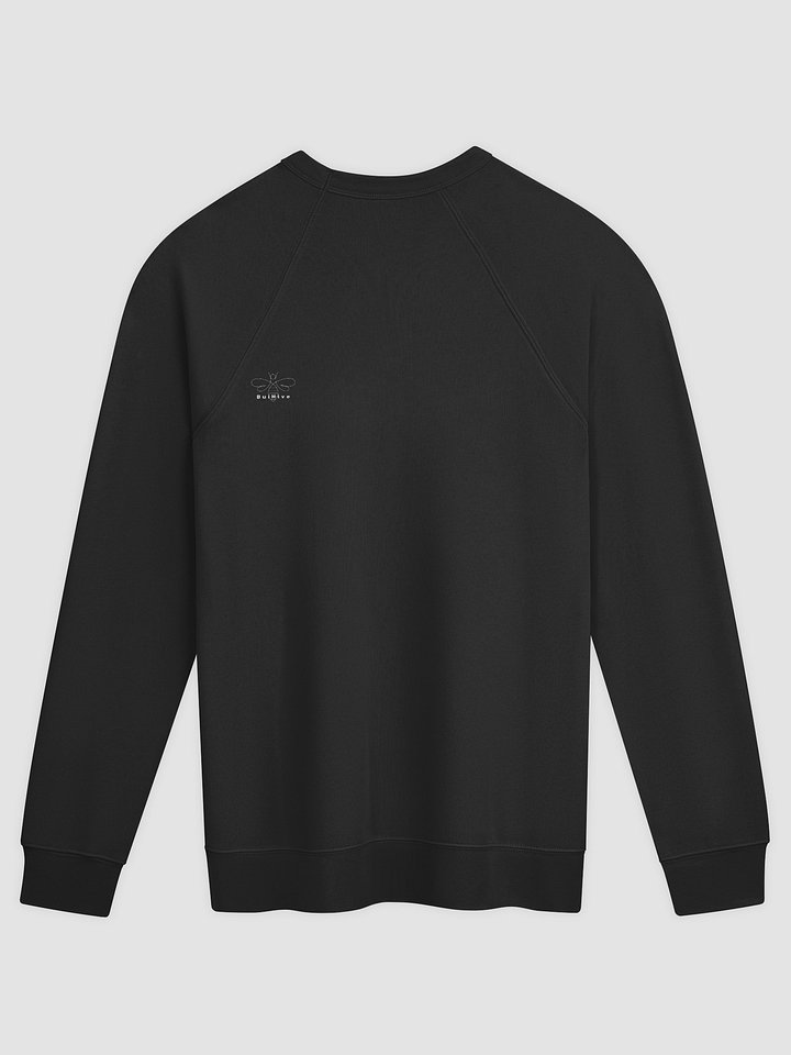 Tá Sé Seo Sealadach Unisex Raglan Sweatshirt product image (5)