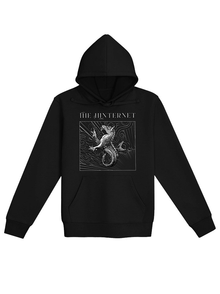 The Hinternet Hoodie product image (1)