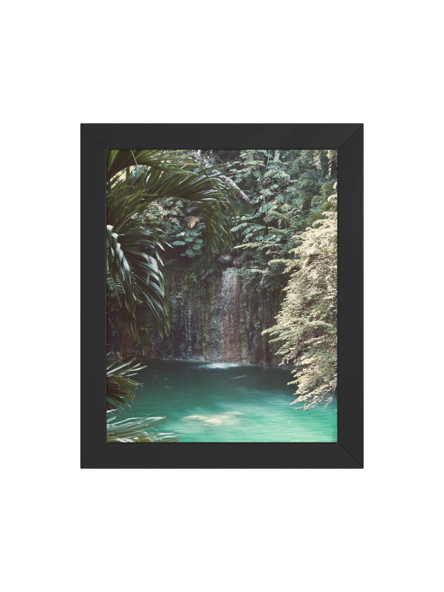 Tulum Cenote product image (32)