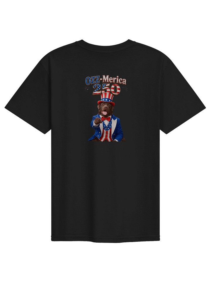 Ozz-Merica 250 product image (2)