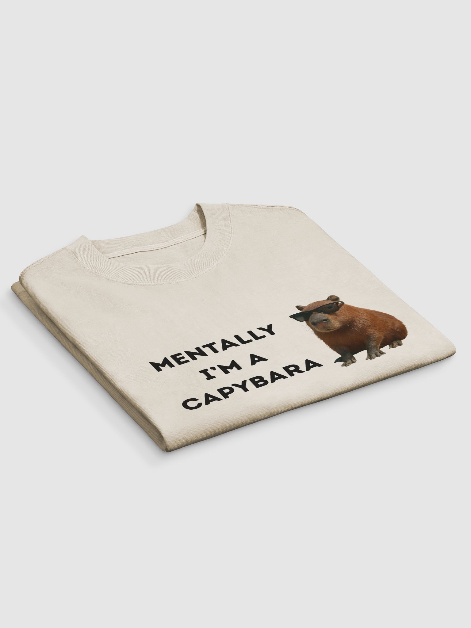 Lazy Days Capybara Graphic T-shirt product image (3)