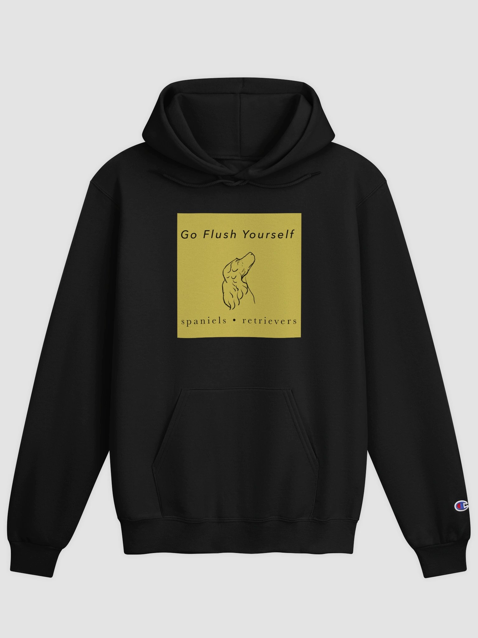 Alt GFY Black Champion Hoodie product image (1)