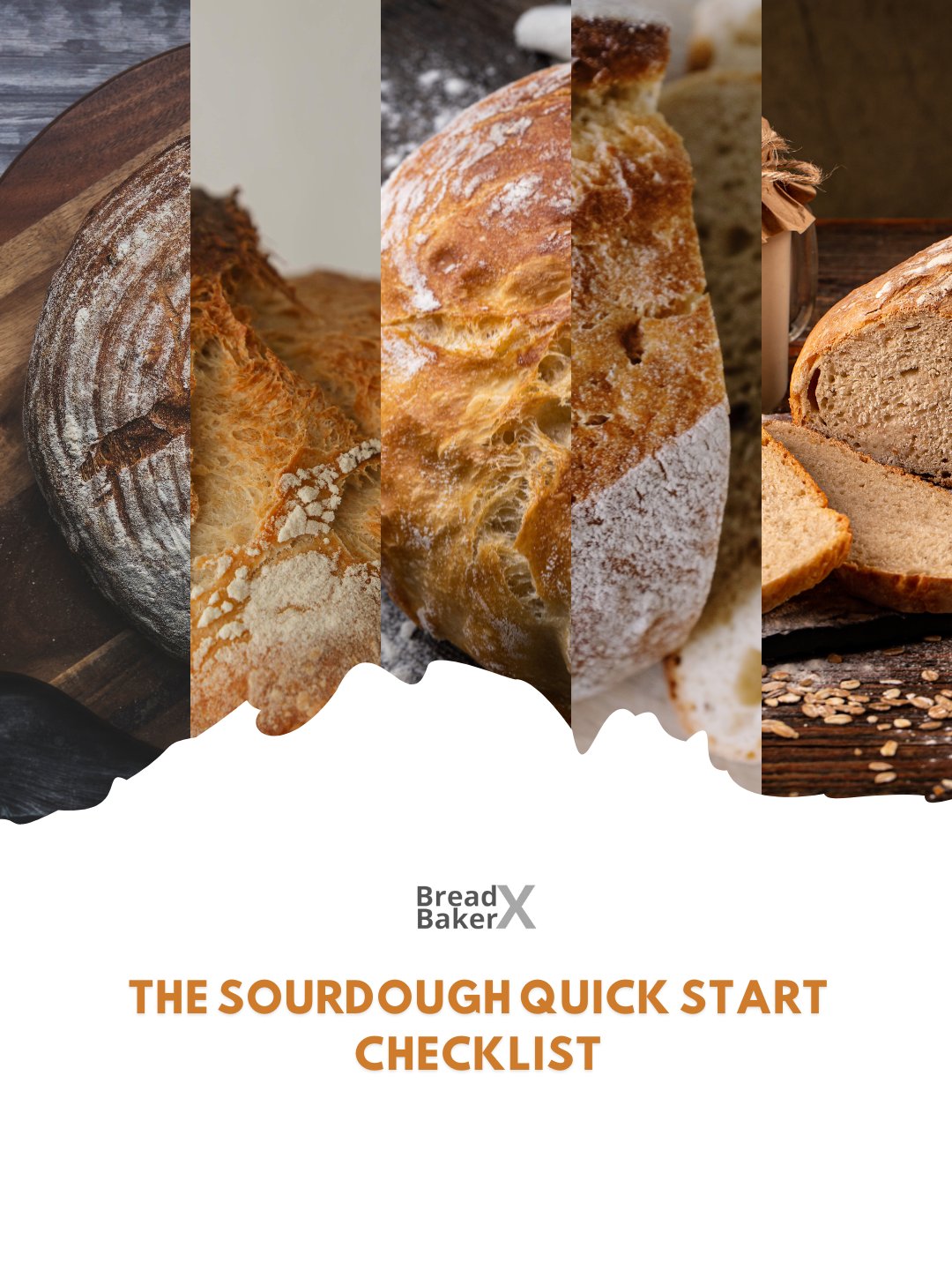The Sourdough Quick Start Checklist - BreadXBaker product image (1)