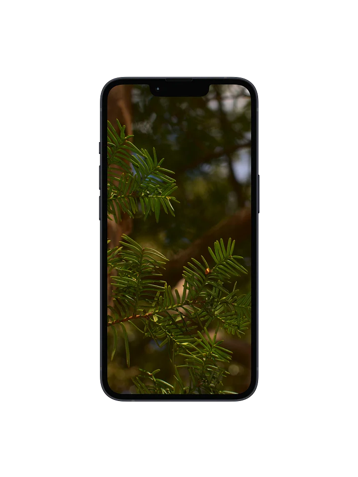Between the Branches Digital Wallpaper Set product image (1)