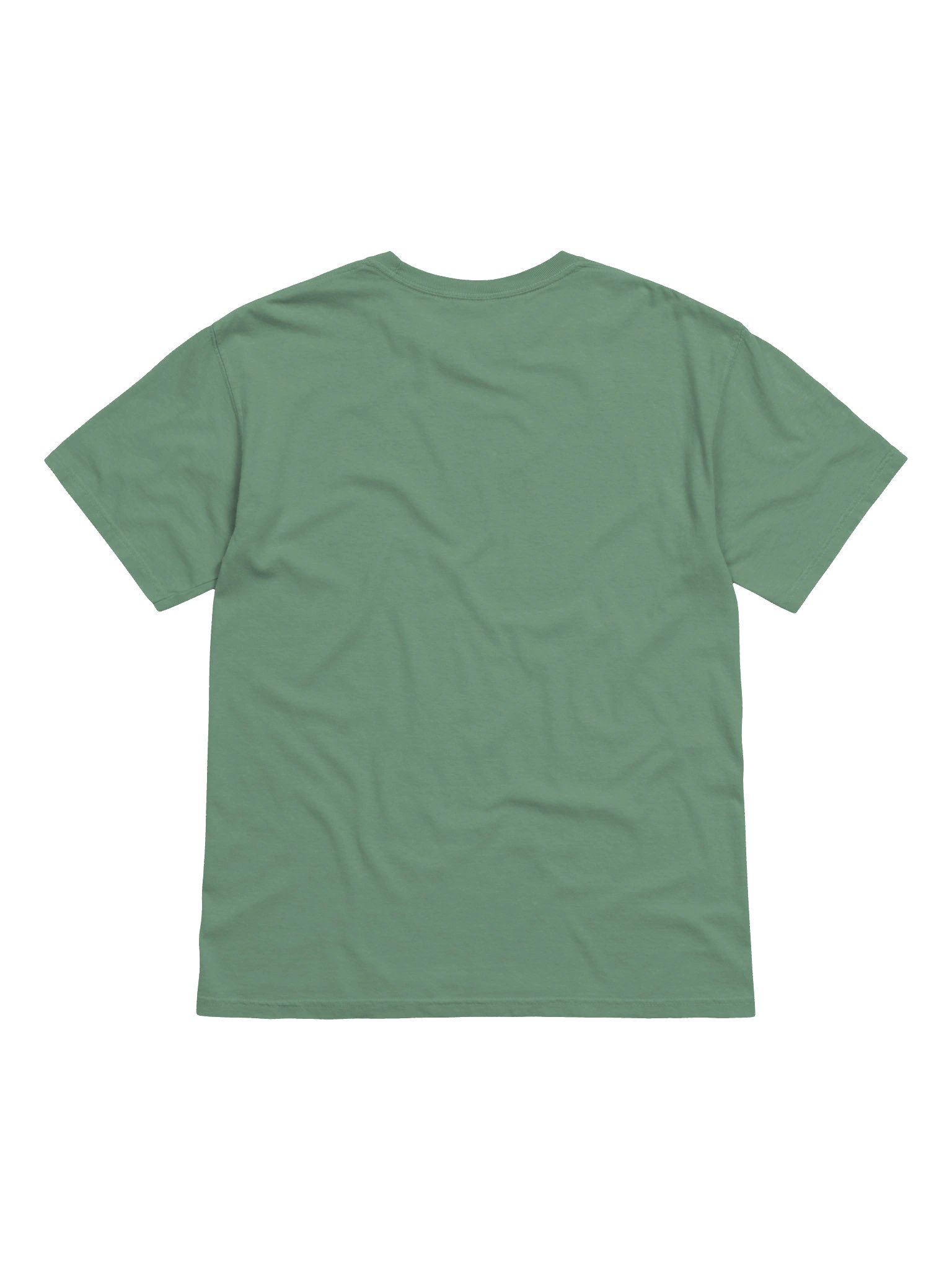 Dove Shit .... Heavyweight Vintage Graphic Tee product image (10)