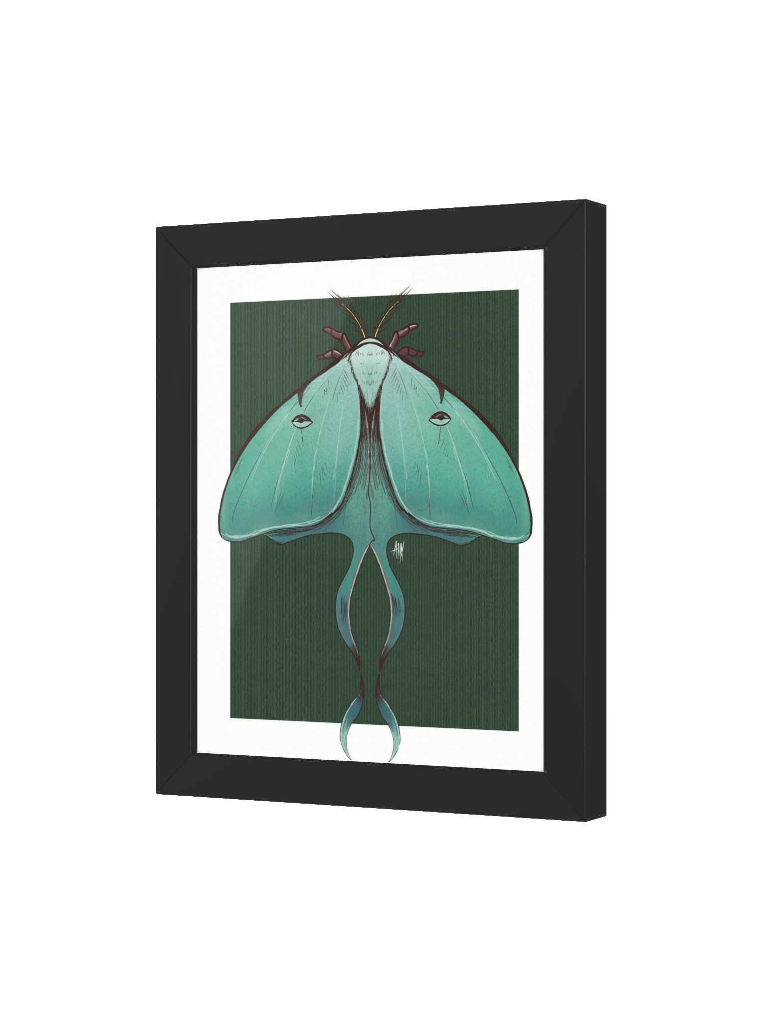 Luna - Framed Print product image (3)
