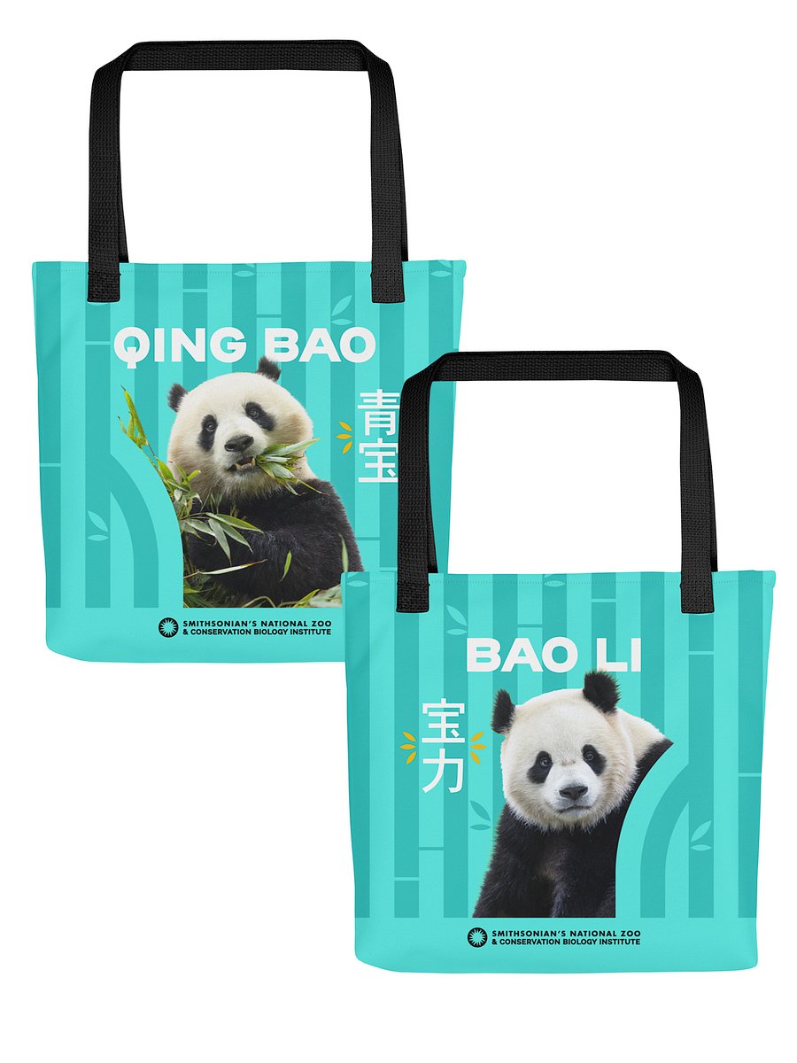 Bao Li & Qing Bao Tote Image 1