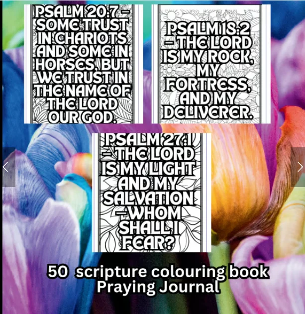 Praying Scripture Journal Colouring book product image (2)