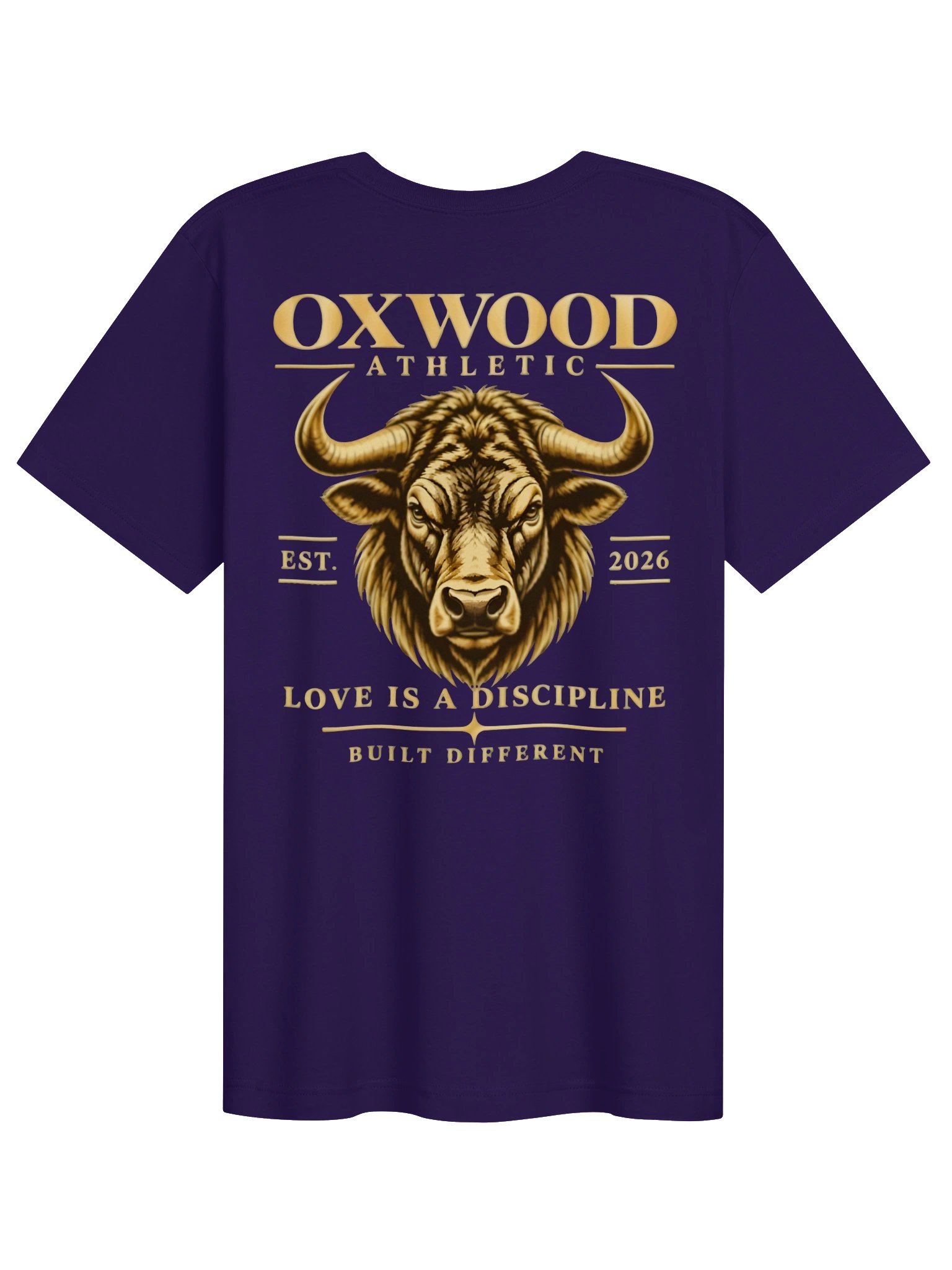 OXWOOD ATHLETIC HEAVYWEIGHT TEE product image (4)