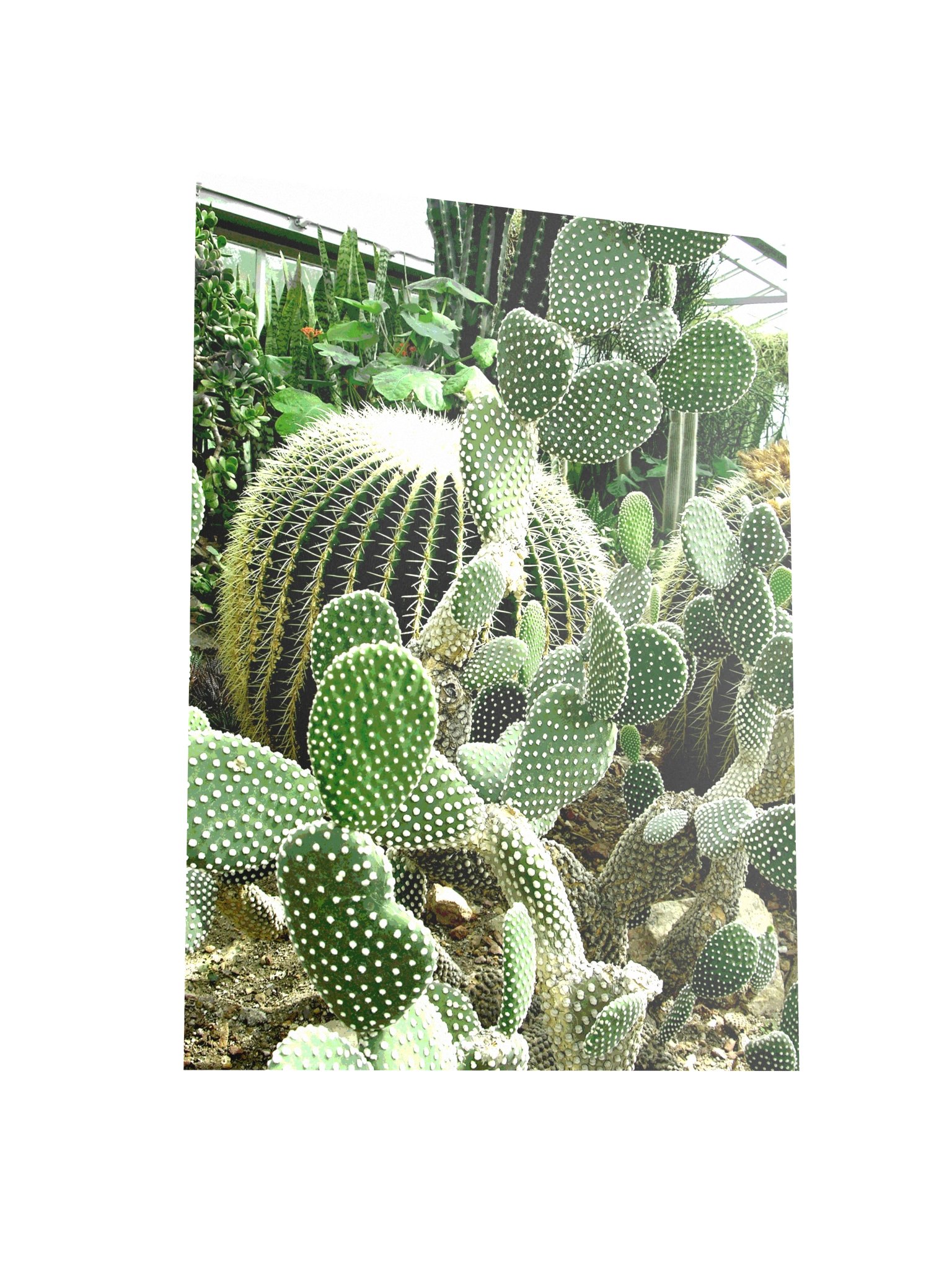 Cactus Tower 61d Poster product image (3)