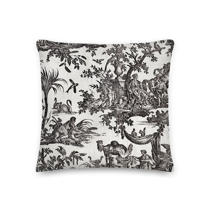 Jean–Baptiste Marie Hüet. Pillow product image (2)