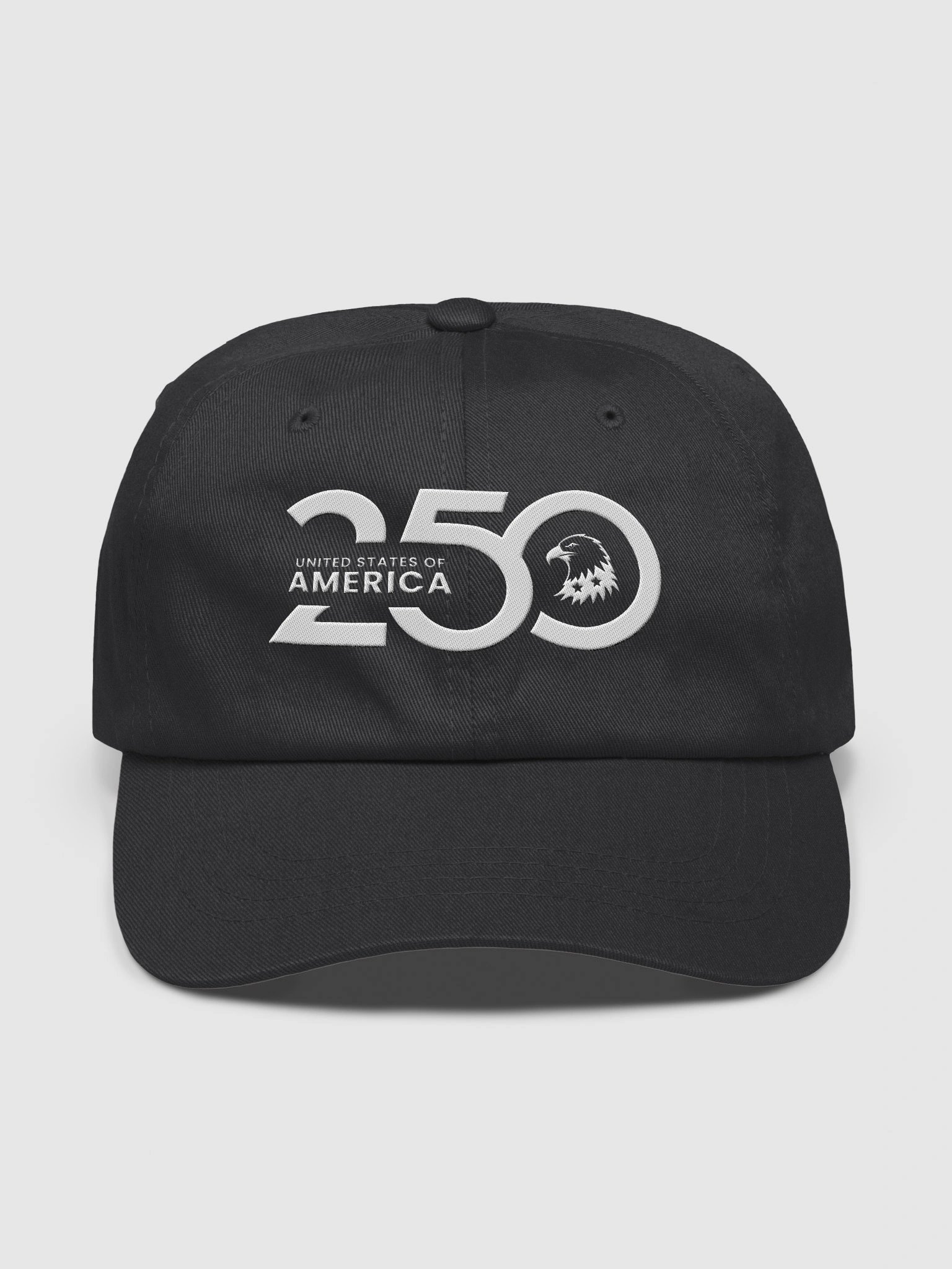 America 250 Eagle Dad Hat product image (2)