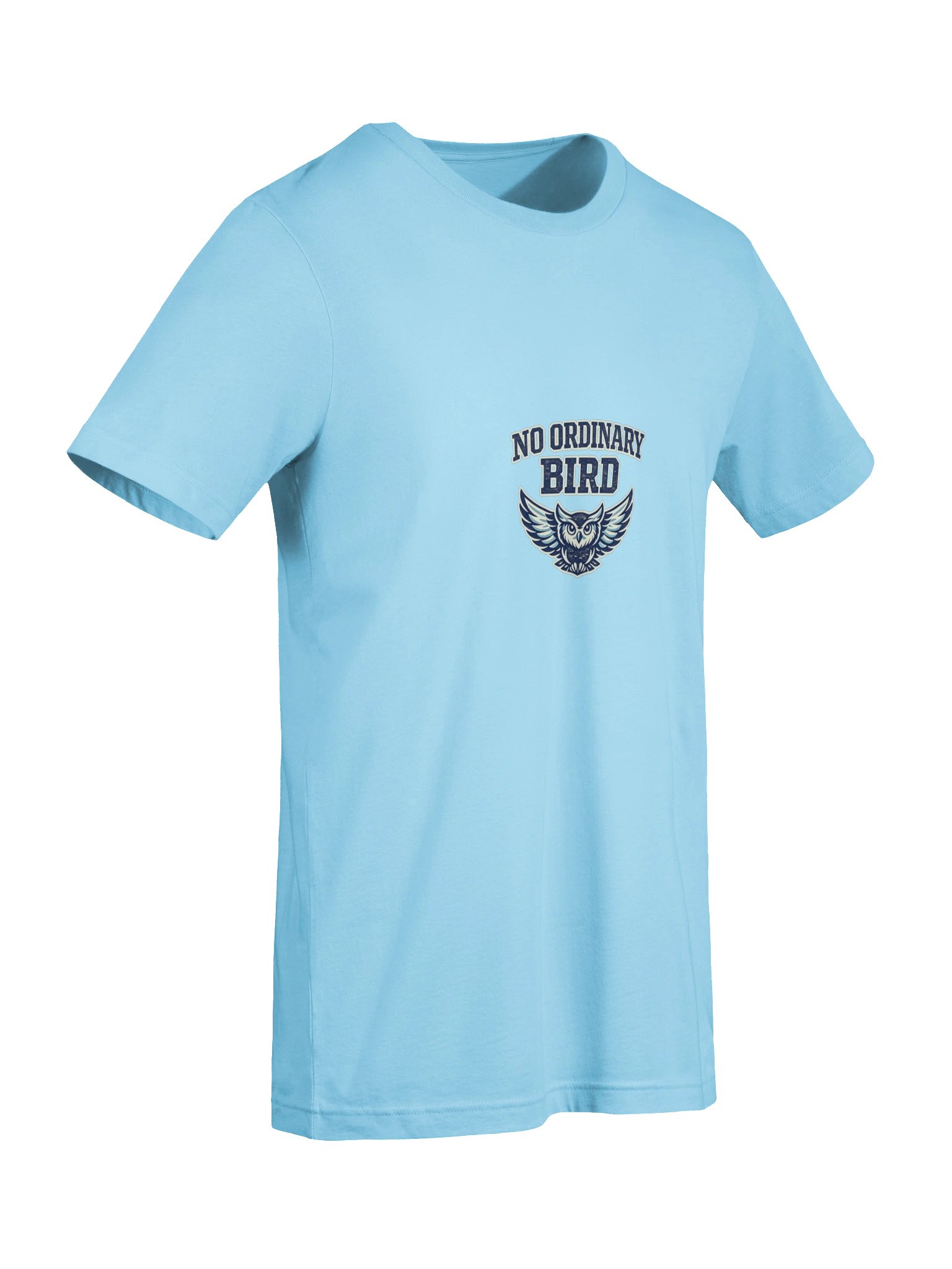No Ordinary Bird Owl Tee product image (27)