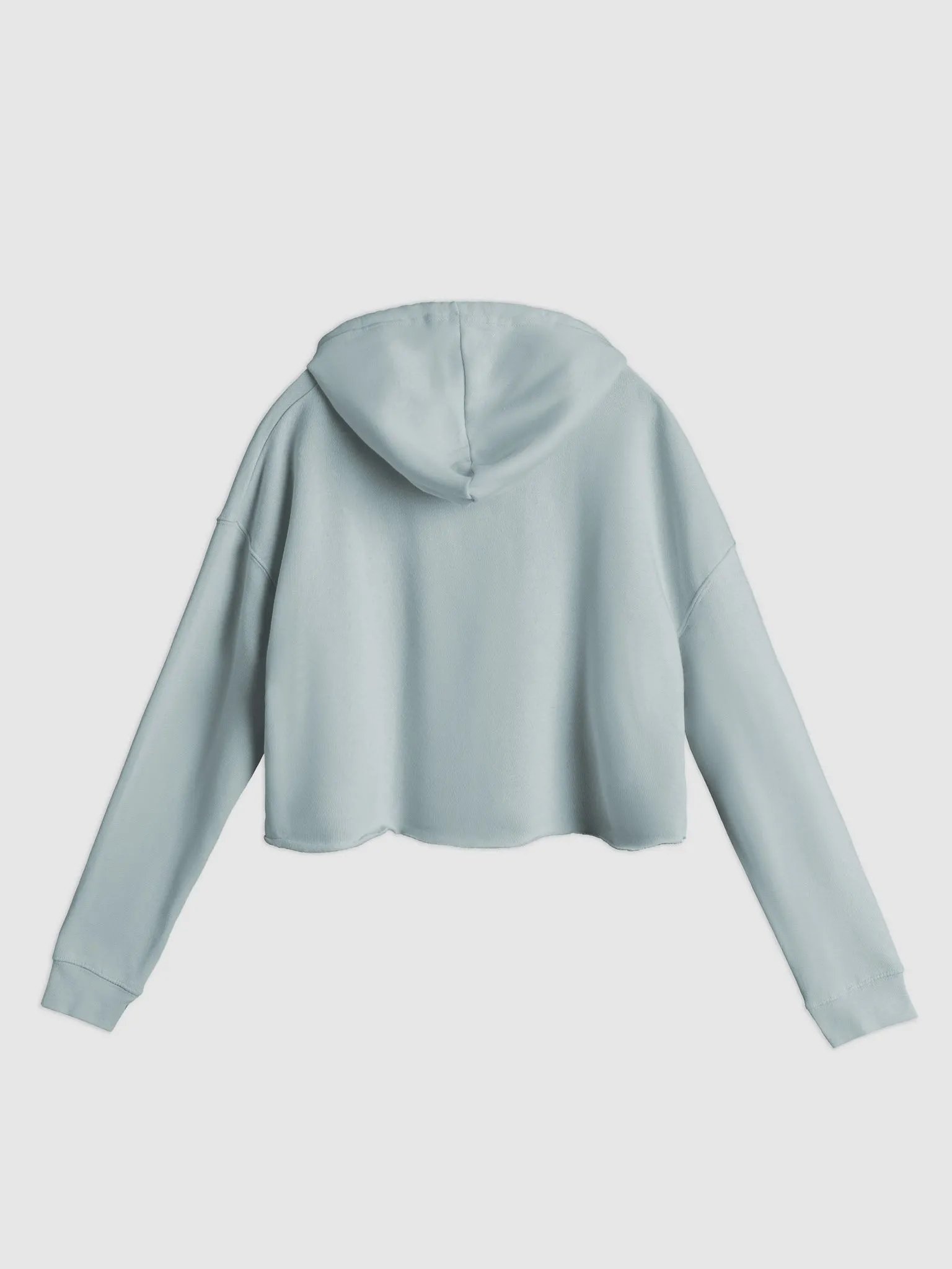 BUSY-BRAINED (lined design, #96B697) lightweight cropped hoodie product image (8)