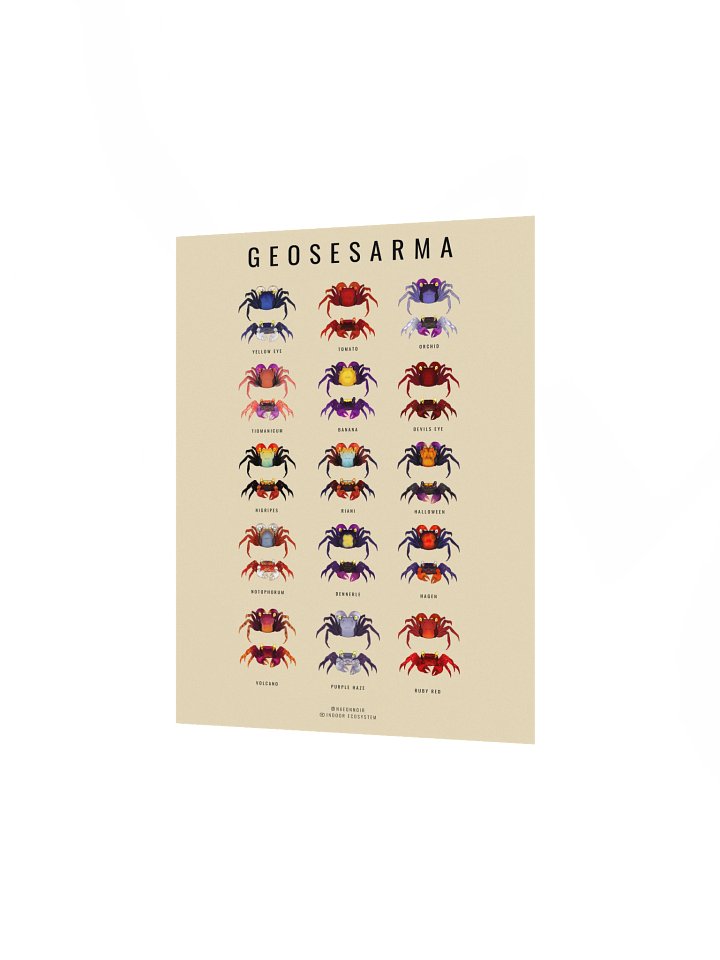 GEOSESARMA VAMPIRE CRAB POSTER (CREAM) product image (2)