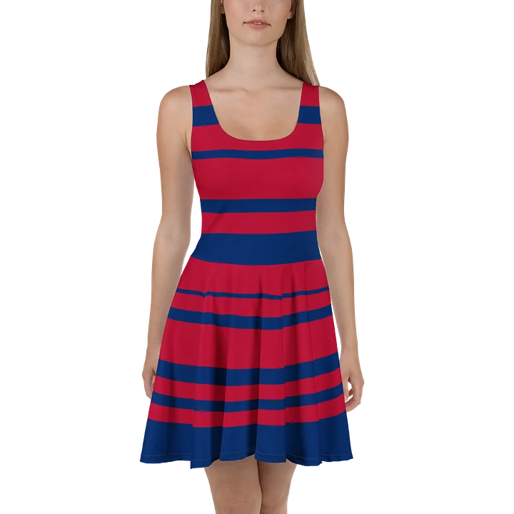 Blue & Red Stripe All-Over Dress product image (1)